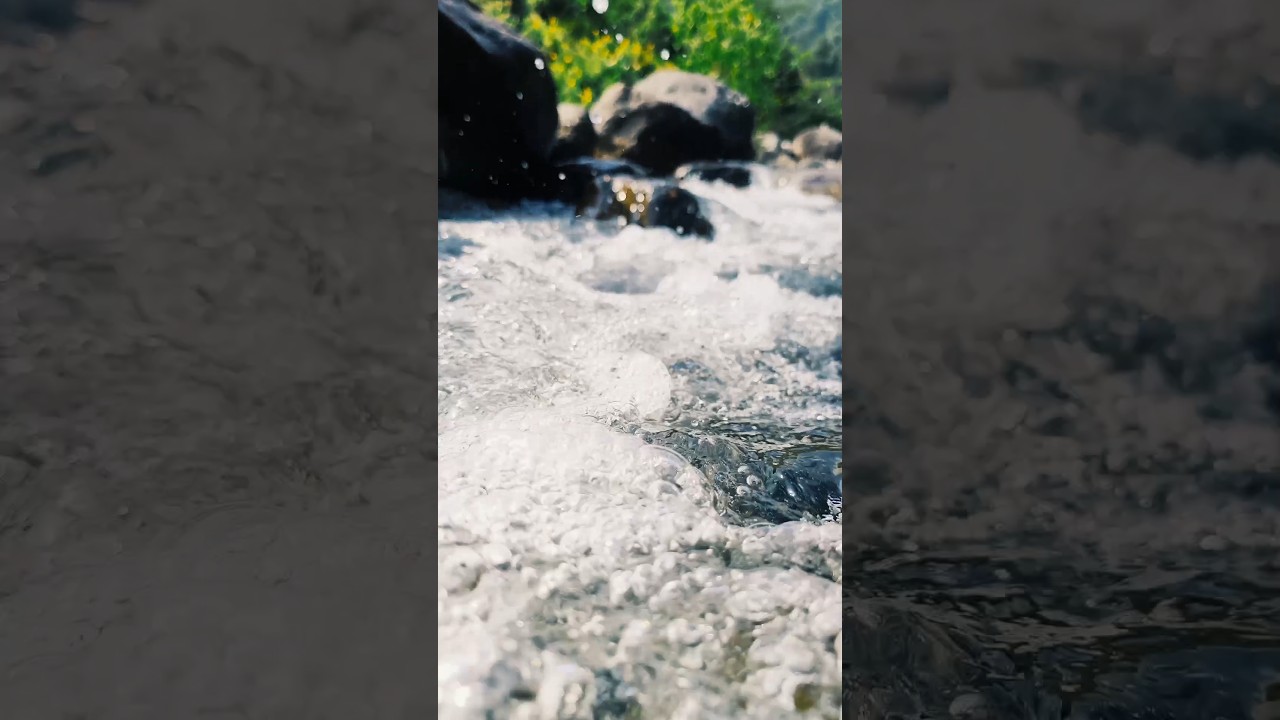 Riyang River kalingpong | #shorts #YouTube shorts