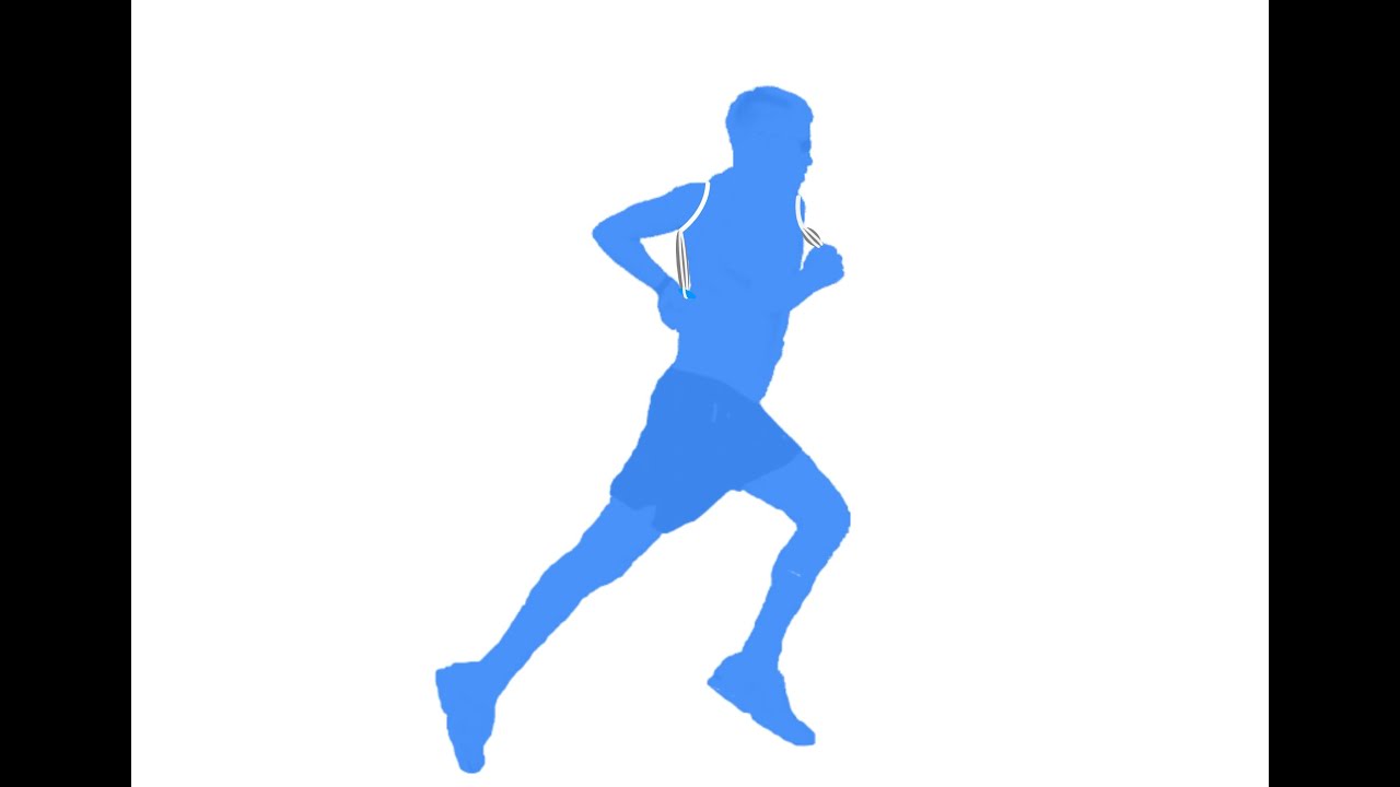 How to Put on and Wear the FloatRun Harness