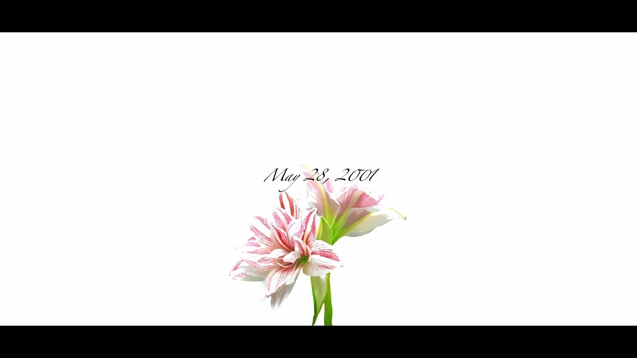 N0S archive - May 28, 2001 (Official Lyric Video)
