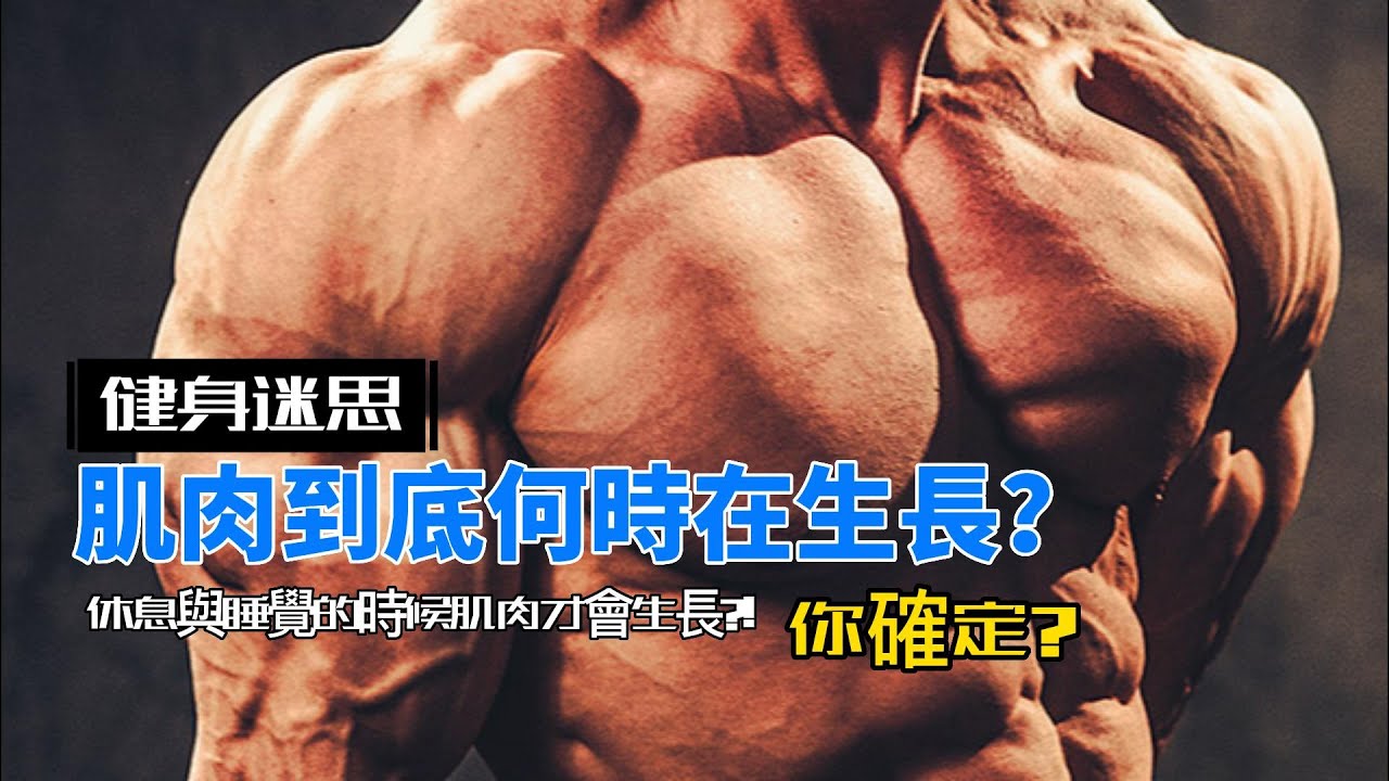 我們在休息、睡覺時長肌肉，這說法正確嗎？
