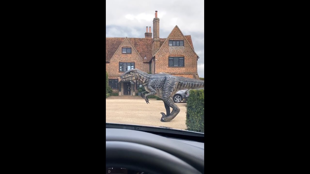 Real Dinosaur scare Prank!