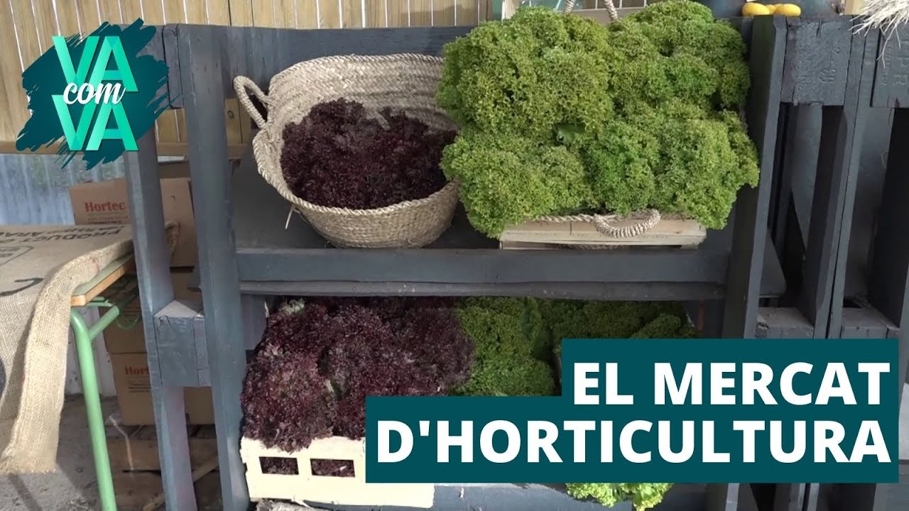 El mercat de l'Institut d'Horticultura #VACOMVA