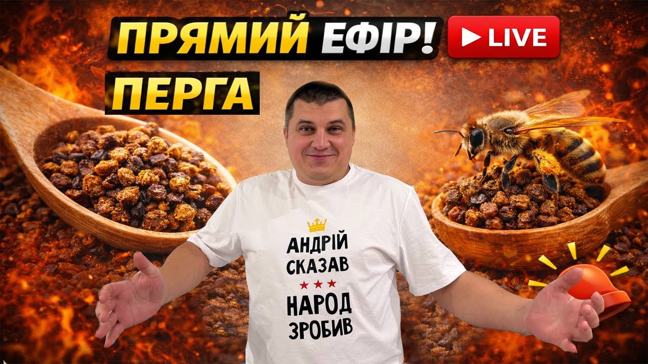 👉 Перга: початок | Прямий ефір🐝