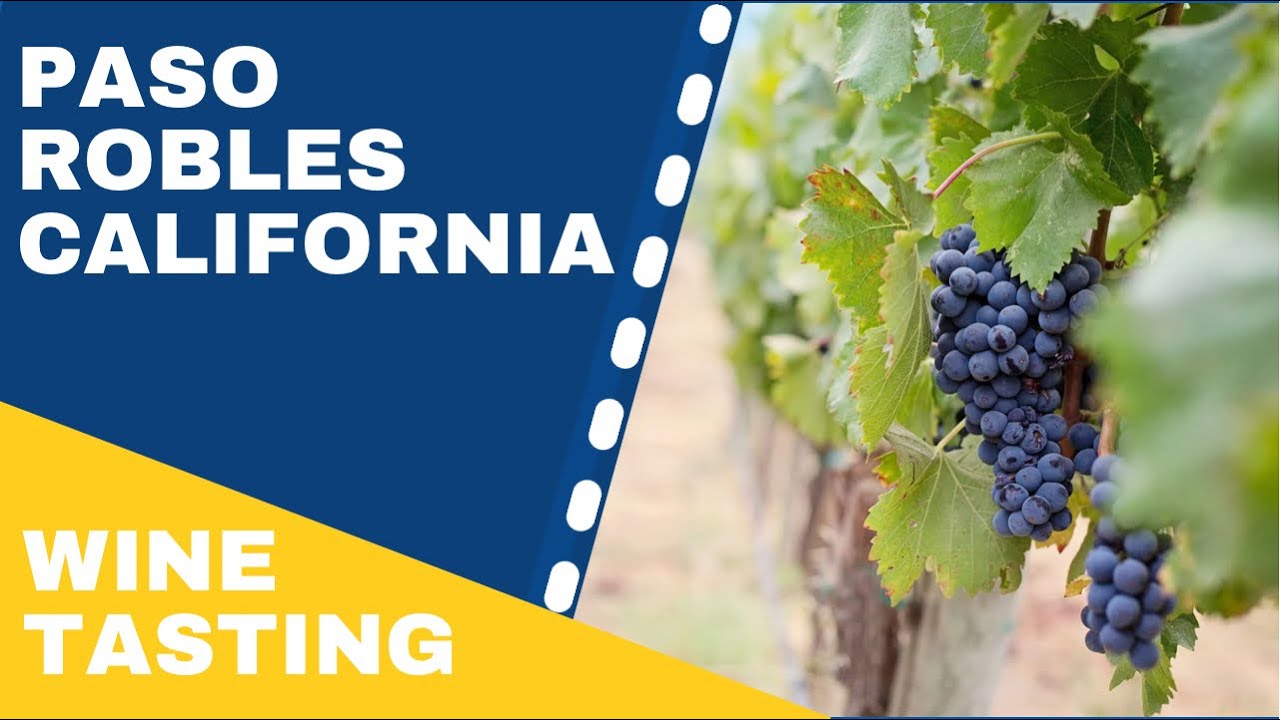 My Favorite Tasting Experiences at Wineries in Paso Robles, California