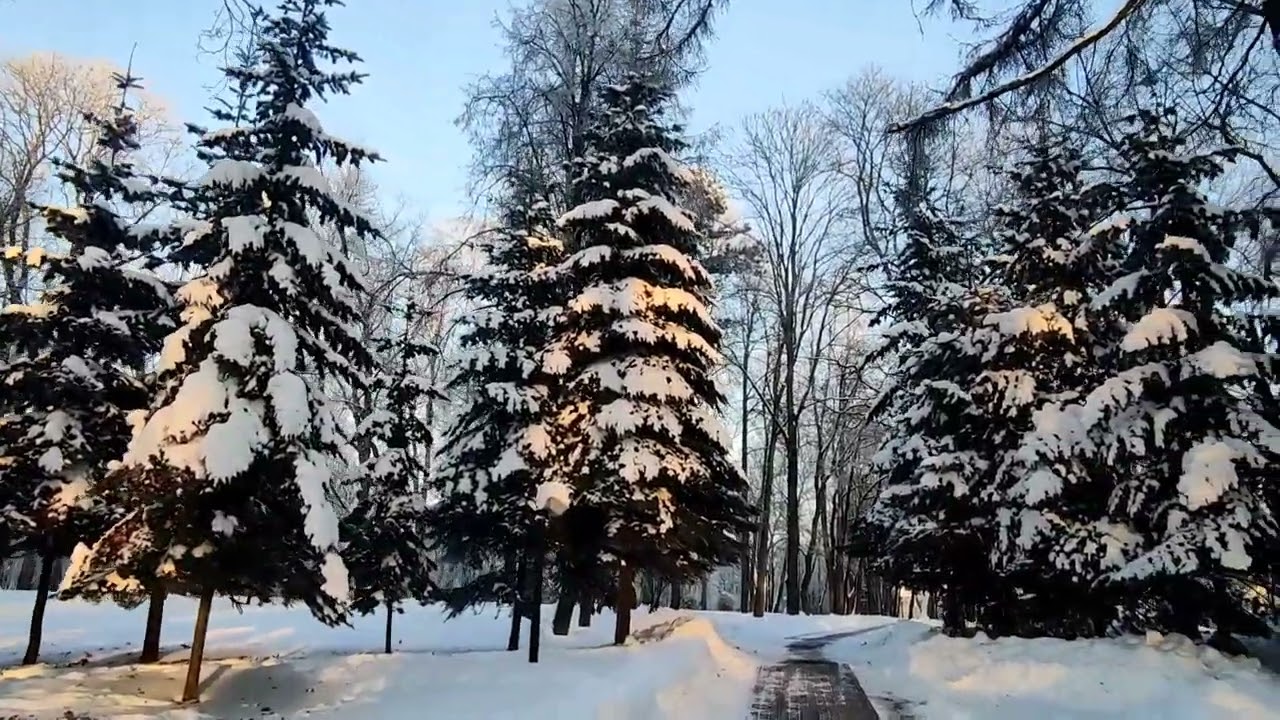 Заснеженный парк Лошицкий. Красивая зима.