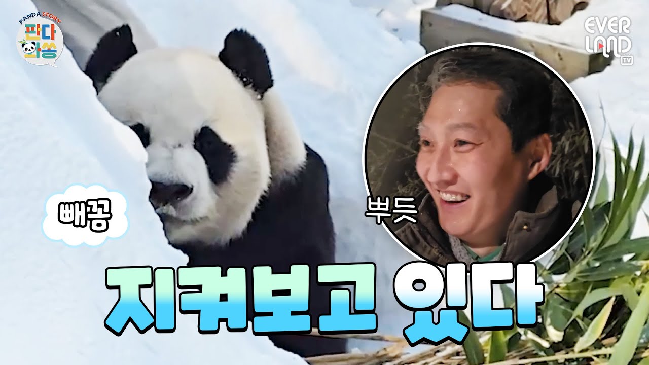[ENG]세상 신난 겨울왕자 러부지와 100KG의 아이들｜#판다와쏭 #193