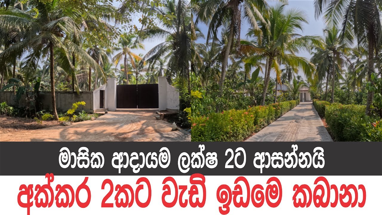 අක්කර 2ට වැඩියි, වෙඩින් හෝල් එකයි, පොල්ගස් 160යි, කුරුදු අක්කර 1යි, පුවක්පැල 100යි