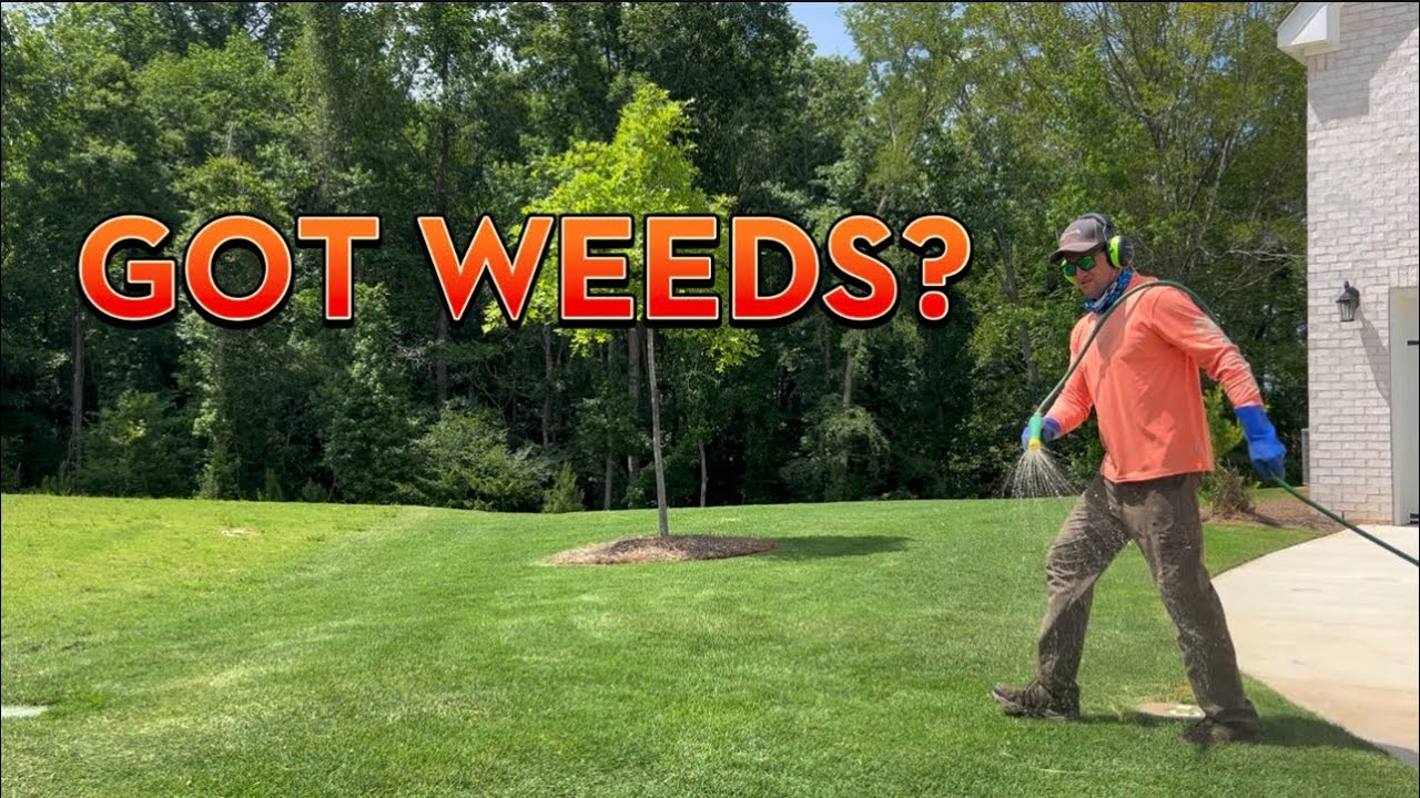 The perfect mixture | Get rid of SUMMER weeds FAST!