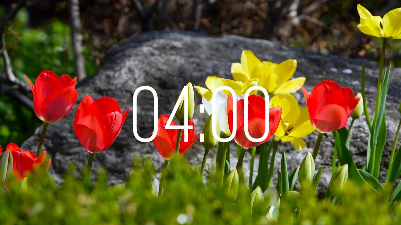 4 Minute Timer with Music | Spring Timer🌹