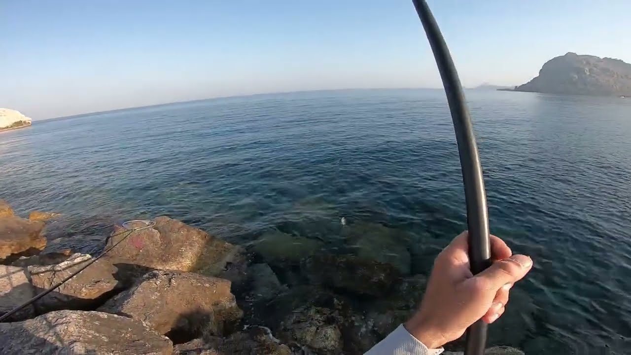 ΨΑΡΕΨΤΕ ΜΕ ΦΕΛΛΟ ΚΑΙ ΖΥΜΑΡΙ ΚΑΙ ΘΑ ΠΙΑΣΕΤΕ ΣΙΓΟΥΡΑ ΠΟΛΛΑ ΨΑΡΙΑ