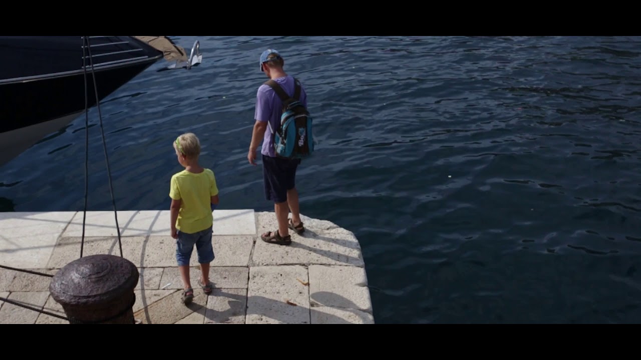 Trstenik & Dingač video