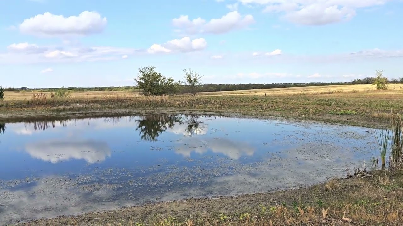 Kaufman, Texas 