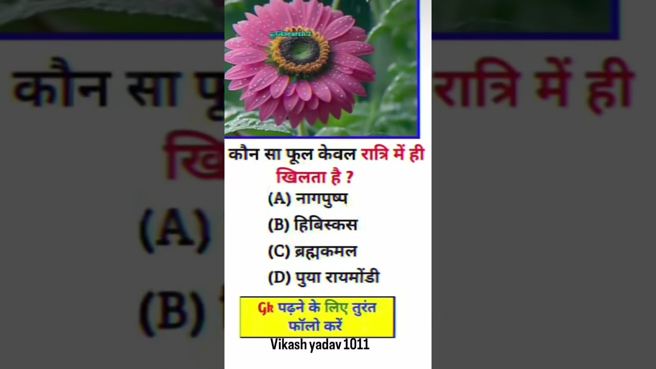 कौन सा फूल केवल रात्रि में ही 