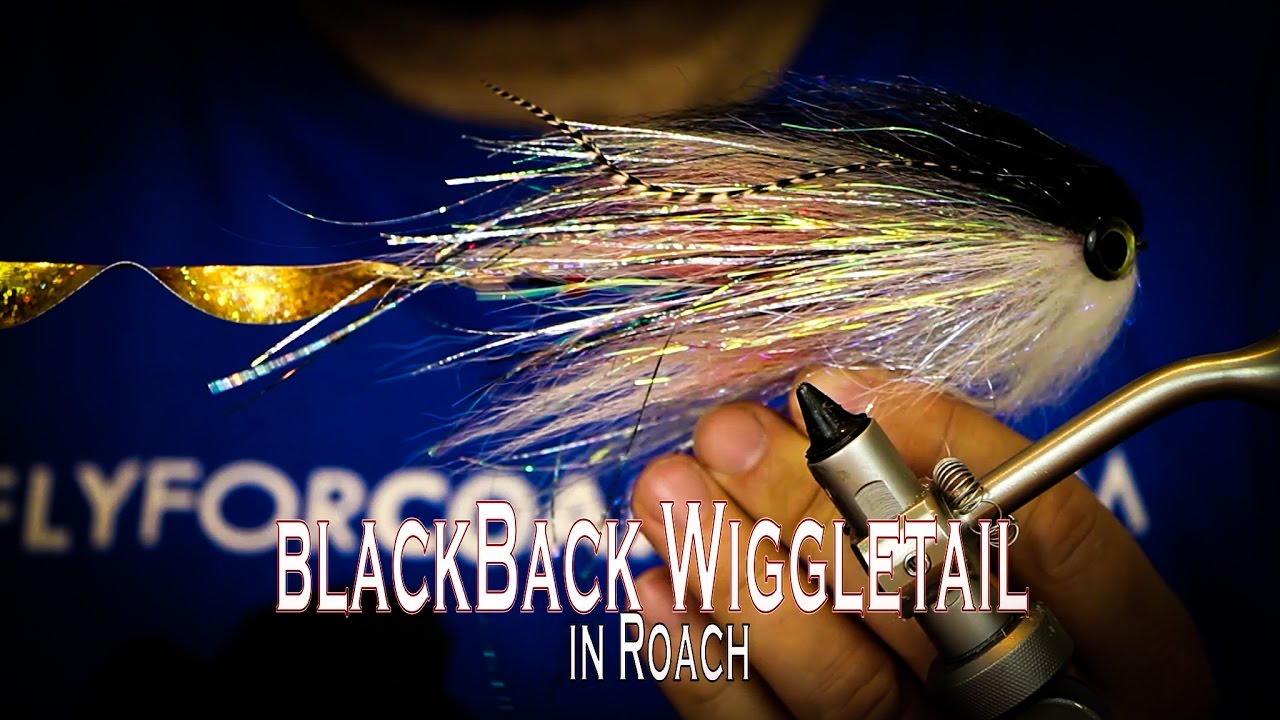 Tying the Black Back Wiggletail in Roach (Pike Fly)