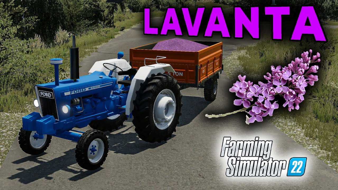 LAVANTA İŞİNDE GÜZEL PARA VAR ? // FS22