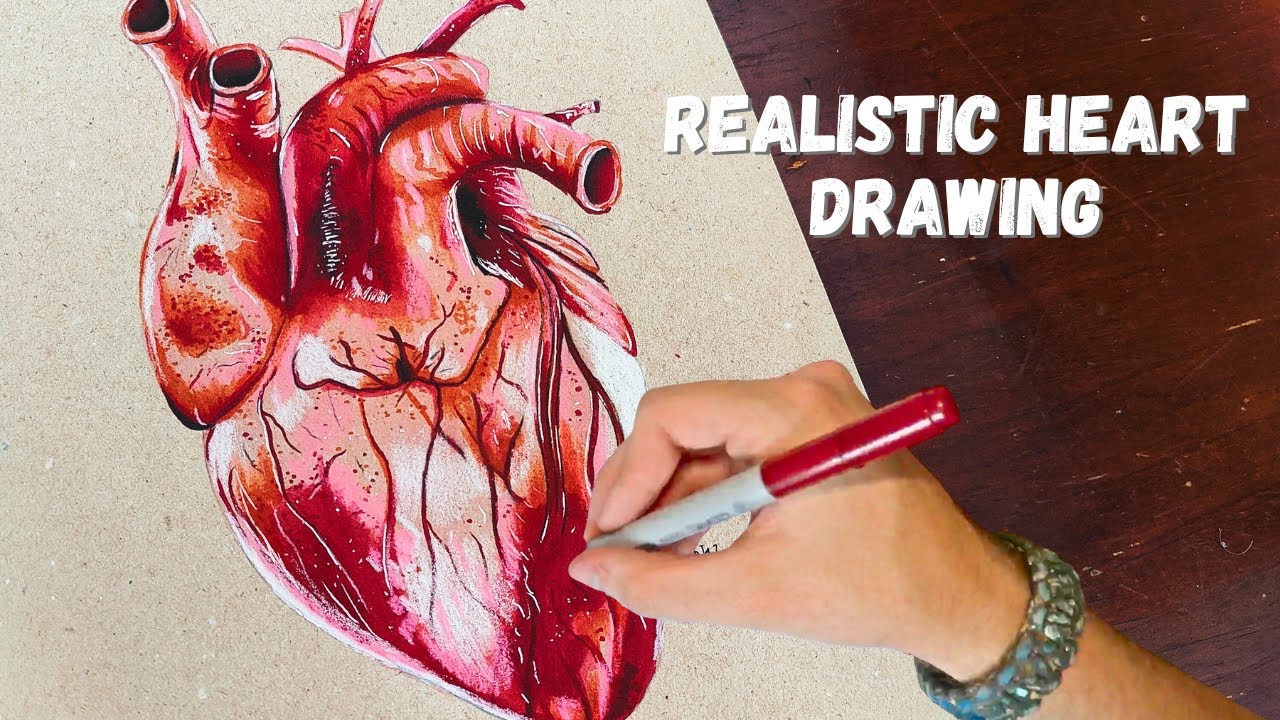 Drawing a realistic heart
