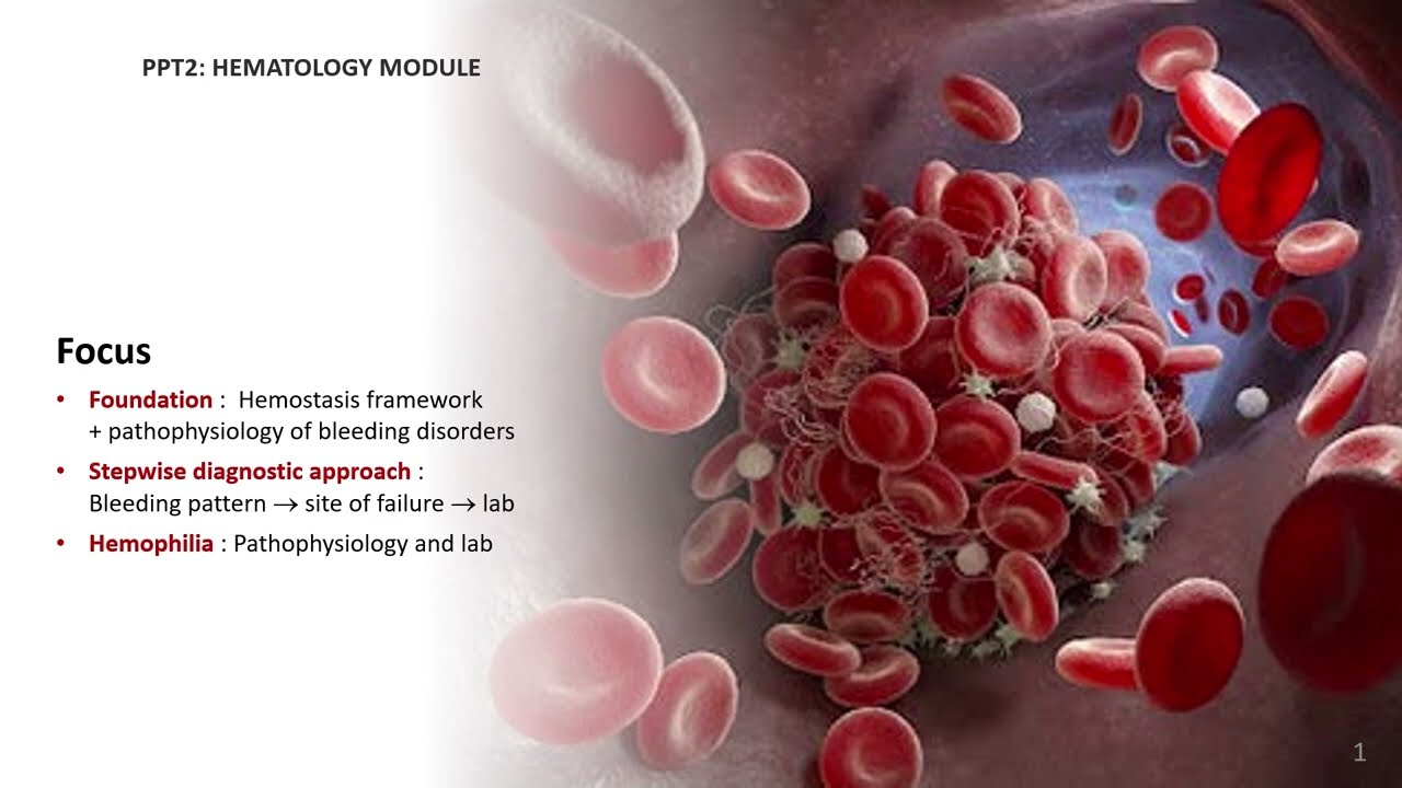 PPT2_bleeding_part 1_slides 1-7