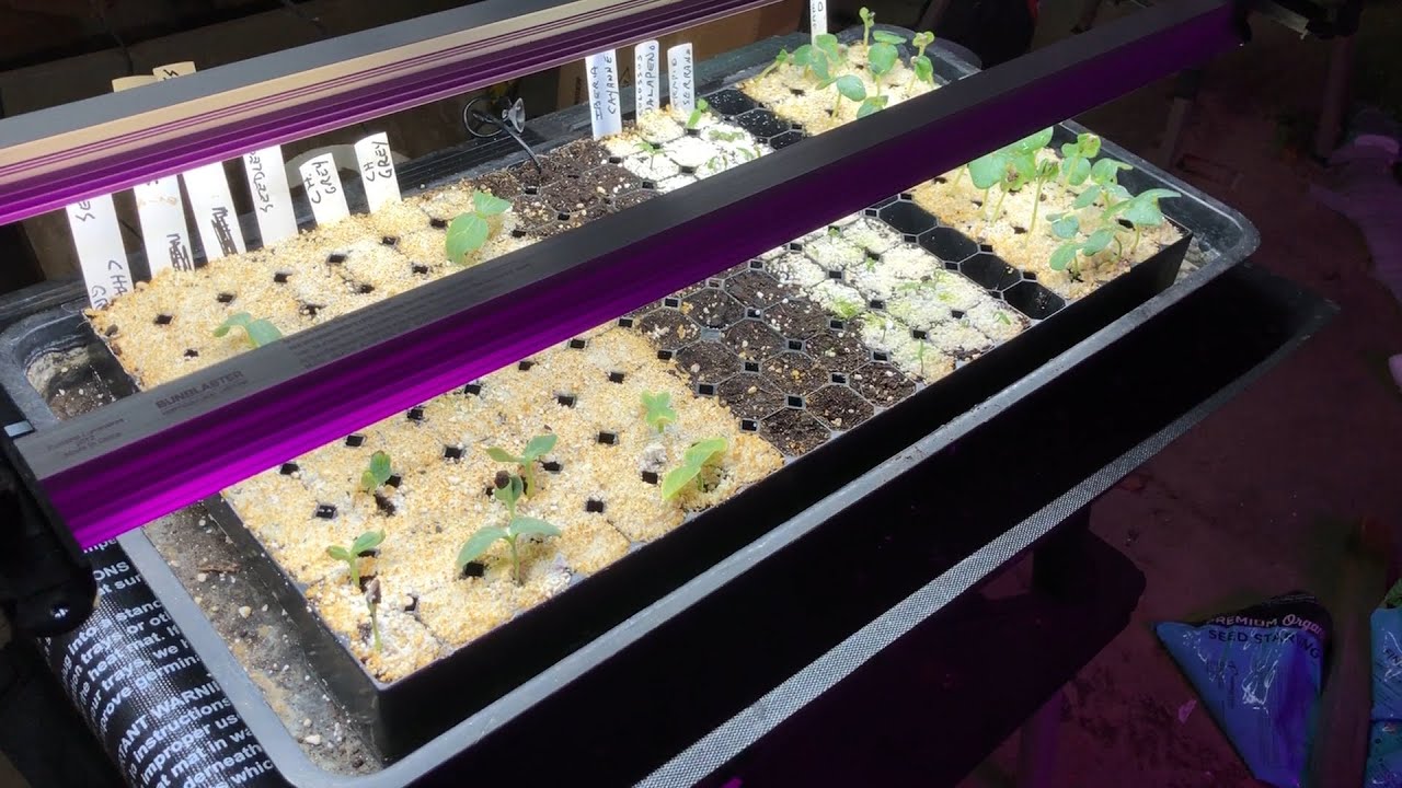 🌱 HOSS TOOLS GROW LIGHT AND SEEDLING HEAT MAT REVIEW 💥 NEW TOYS!