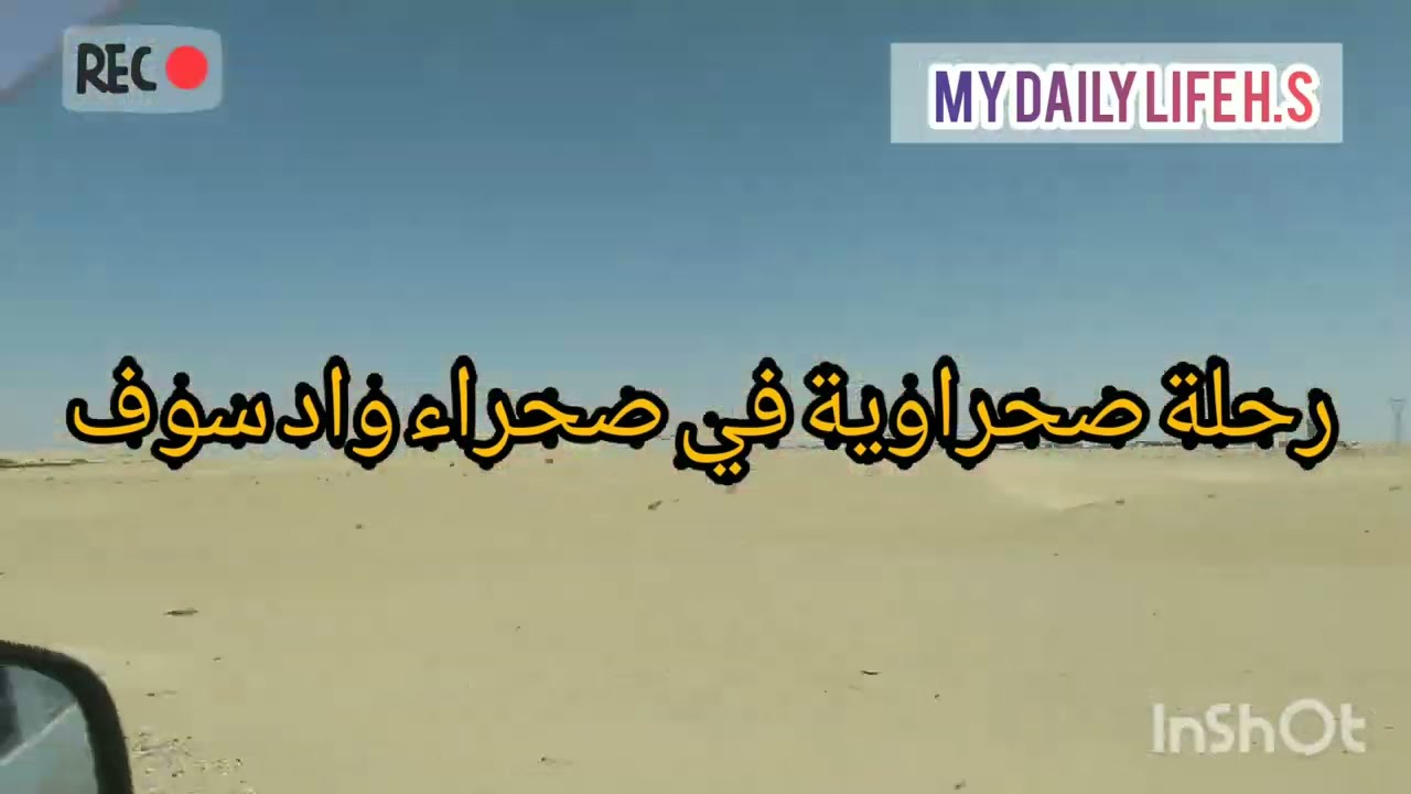جولة في صحراء وادي سوف 🌴