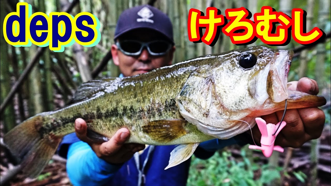 【デプス】続・ケロムシで梅雨のバス釣り　デカバス釣れたよPart２【関東野池巡り】