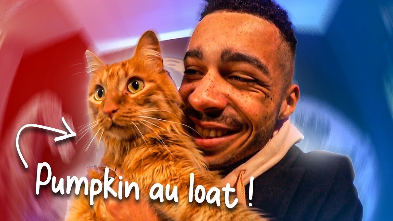 JE RAMÈNE MON CHATON AU LOAT 🦊