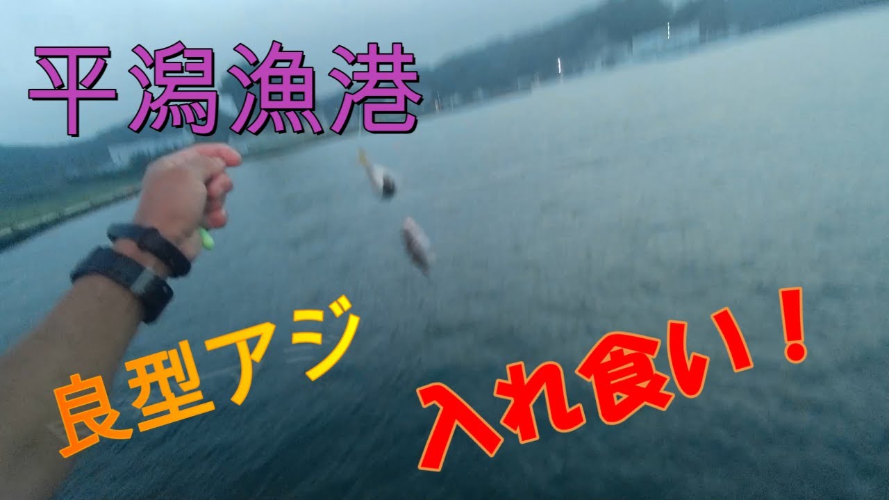 北茨城市・平潟漁港の釣り。２０２３．８．１５～１６　アジの魚影は抜群！良型アジが入れ食い状態に・・