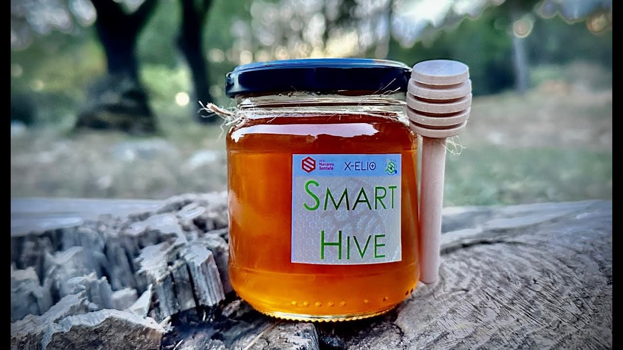 🐝 Colmenas Inteligentes 🍯 SMART HIVE 🌼 Proyecto de Innovación Colaborativo 🌳