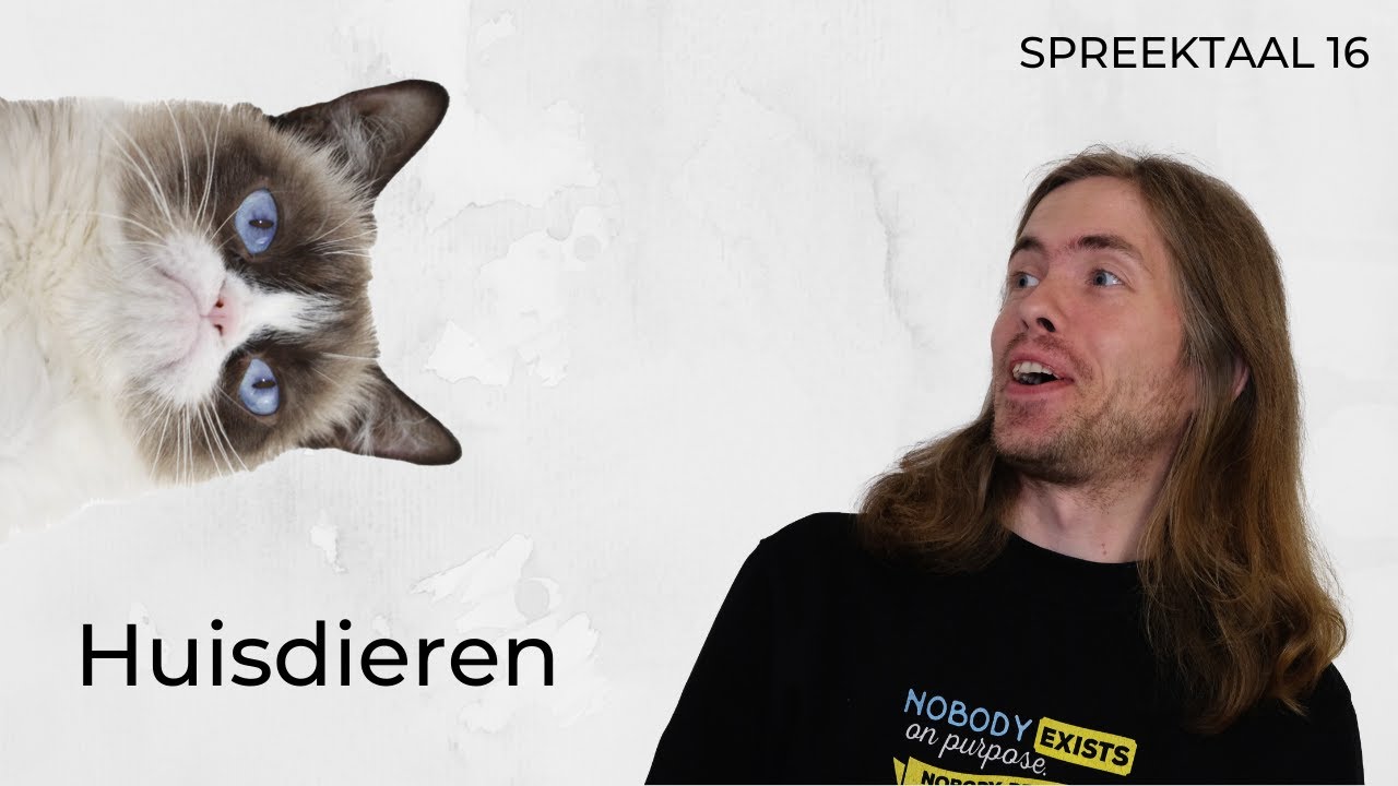 Spreektaal 16: Huisdieren | Dutch listening comprehension NT2