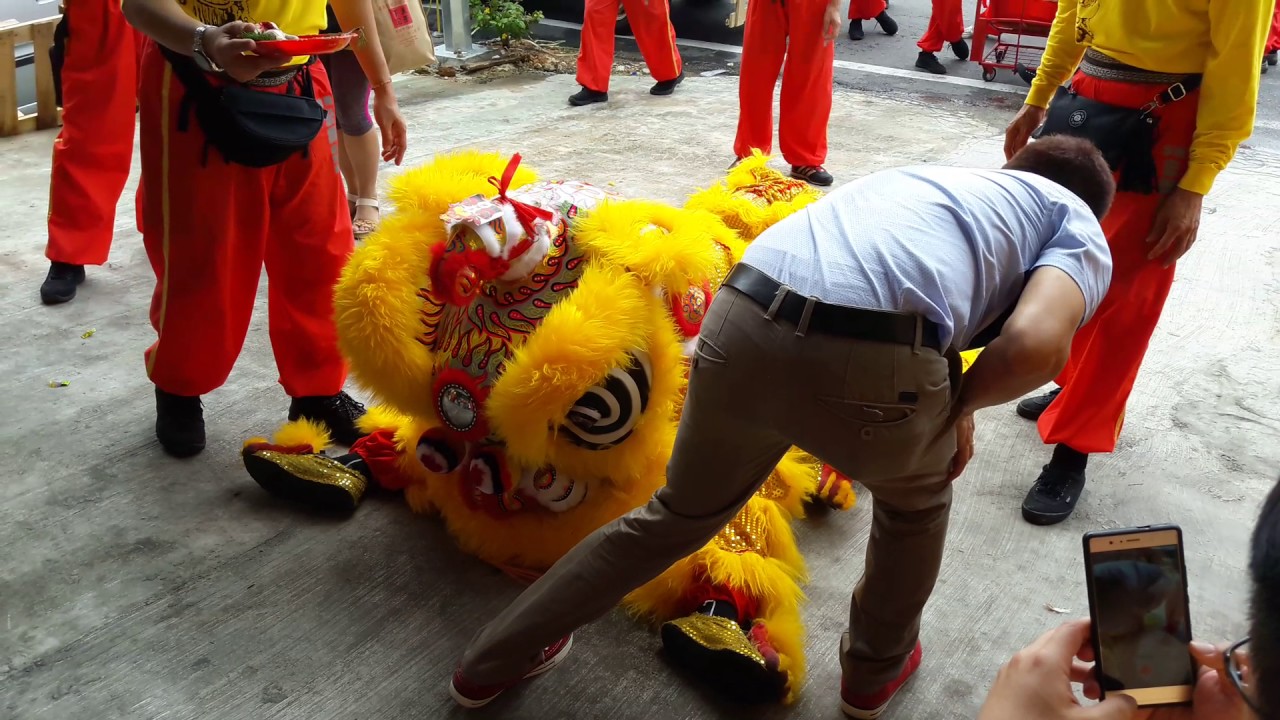 增江中区（民强）校友会醒狮团 丁酉年正月初四 醒狮开光点睛 2017