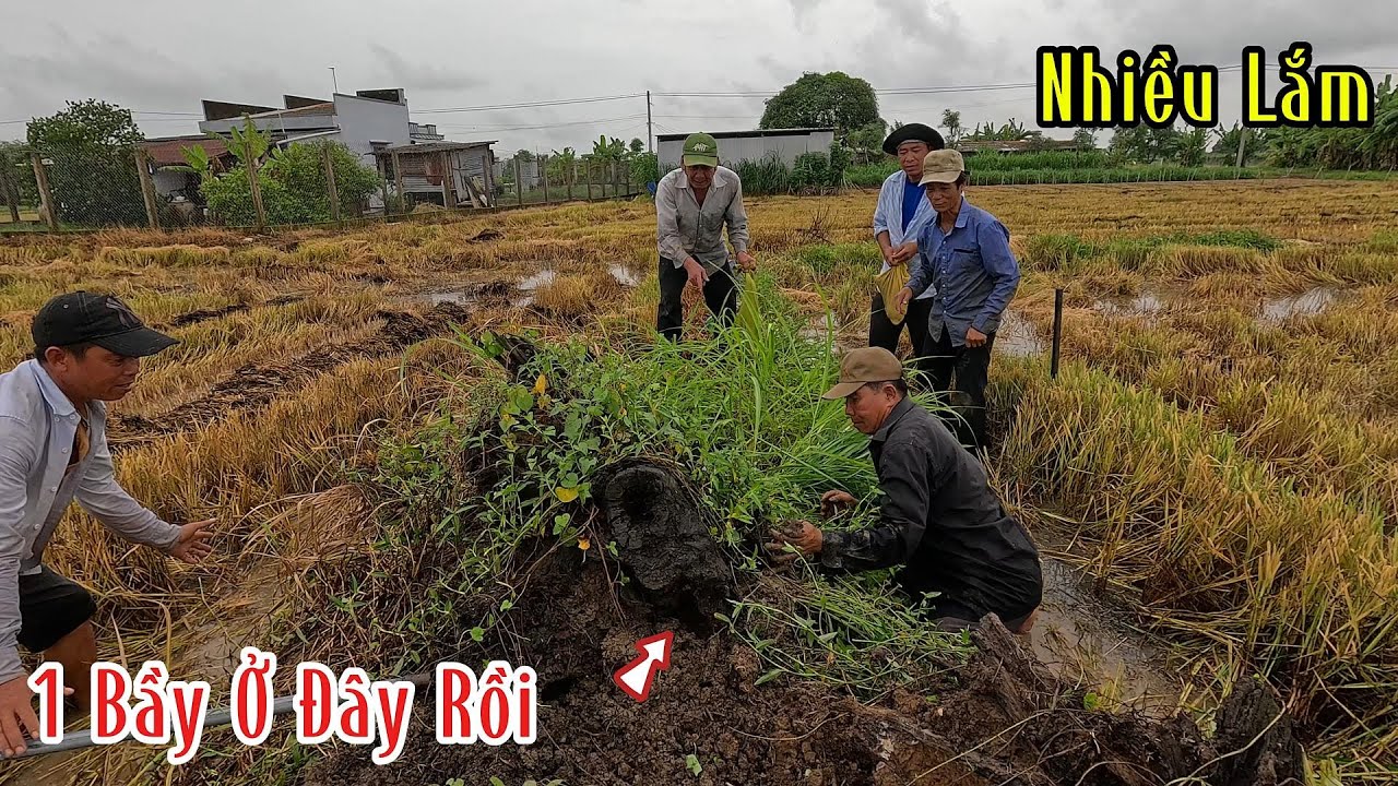 Không Còn Gì Nữa Phải Nói Nó Quá Nhiều Rồi Kinh Khủng | Mười Thương Săn Bắt