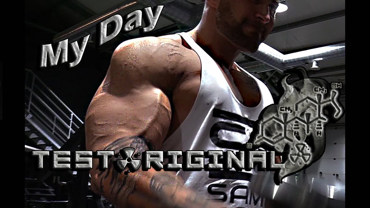 TESTO DIARIES - My Day