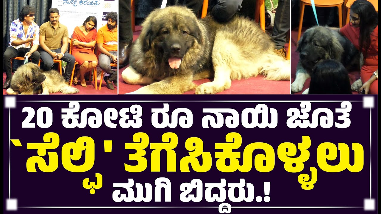 20 ಕೋಟಿ ರೂ ನಾಯಿ ಜೊತೆ `ಸೆಲ್ಫಿ' ತೆಗೆಸಿಕೊಳ್ಳಲು ಮುಗಿ ಬಿದ್ದರು.! || Caucasian Shepherd Dog.