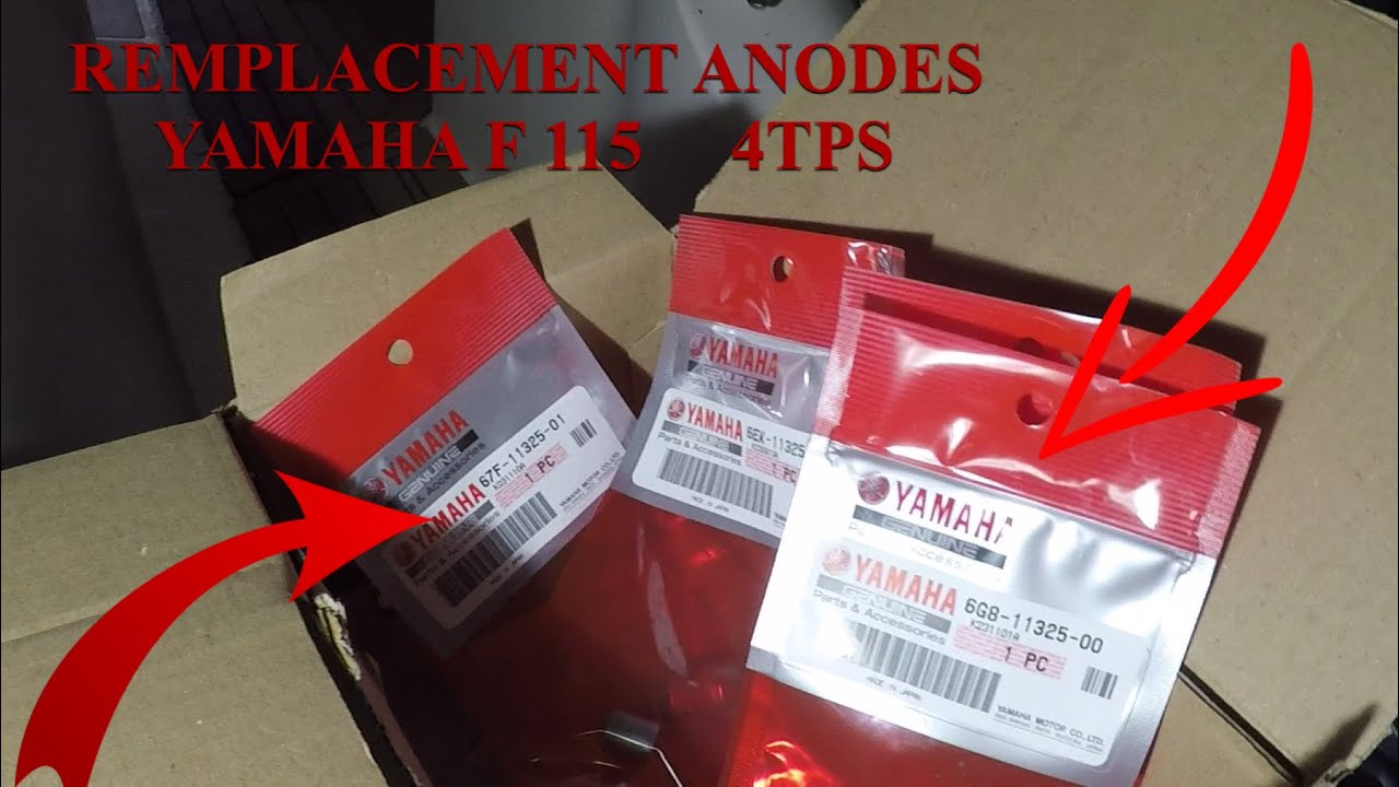 Remplacement Anodes yamaha F115