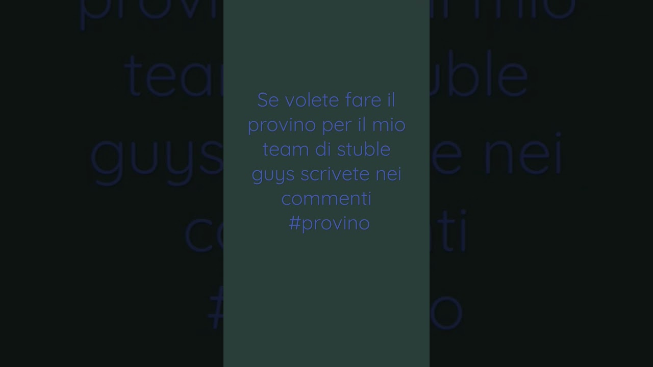 provini team no