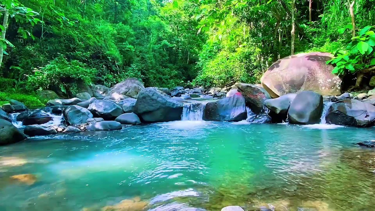 Forest River Natural Flow, Mountain Stream Audio, Sleeping