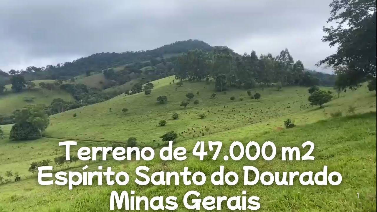 Terreno com Área de 4,7 hectares Bom para Criar Gado Leiteiro ou de Corte. Referência: 1279