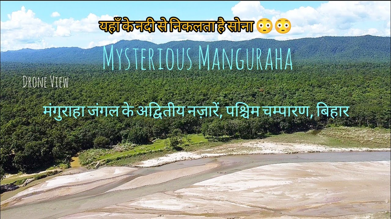 रहस्यमयी मंगुराहा जंगल | Mysterious Manguraha | Valmiki Tiger Reserve | पश्चिम चम्पारण, बिहार |
