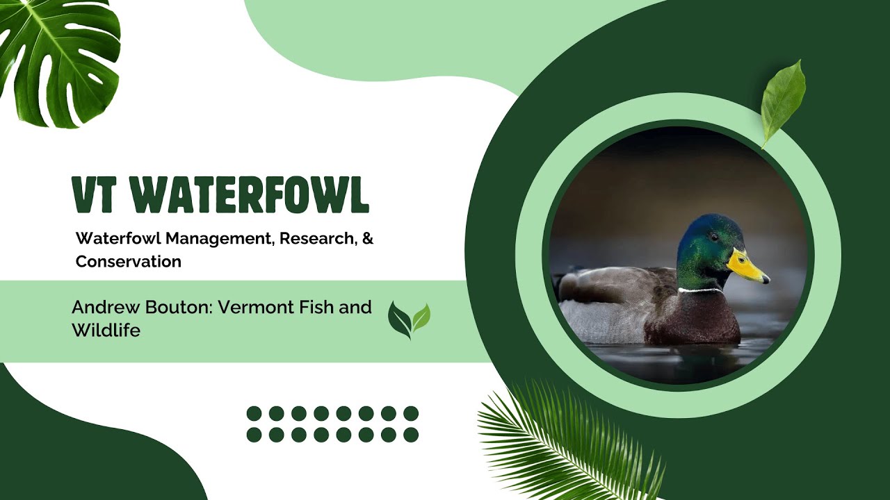 Waterfowl Management, Research, & Conservation 01/29/2026