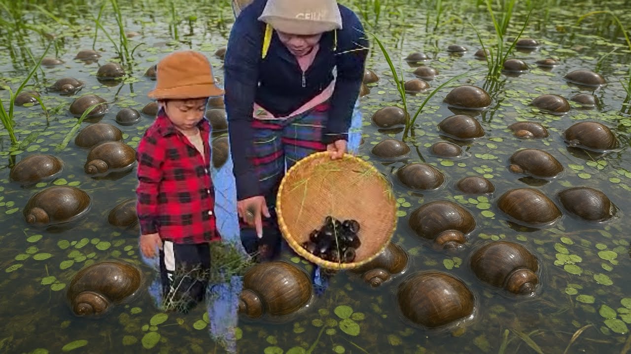 ASMR Countryside Life – Catching Snails and Picking Vegetables by the Pond