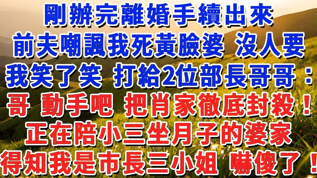 剛辦完離婚手續出來，前夫嘲諷我死黃臉婆 沒人要，我笑了笑 打給2位部長哥哥：哥 開始吧 把肖家徹底封殺！正在陪小三坐月子的婆家，得知我是市長三小姐 嚇傻了！#小娟講故事 #情感故事 #老年生活