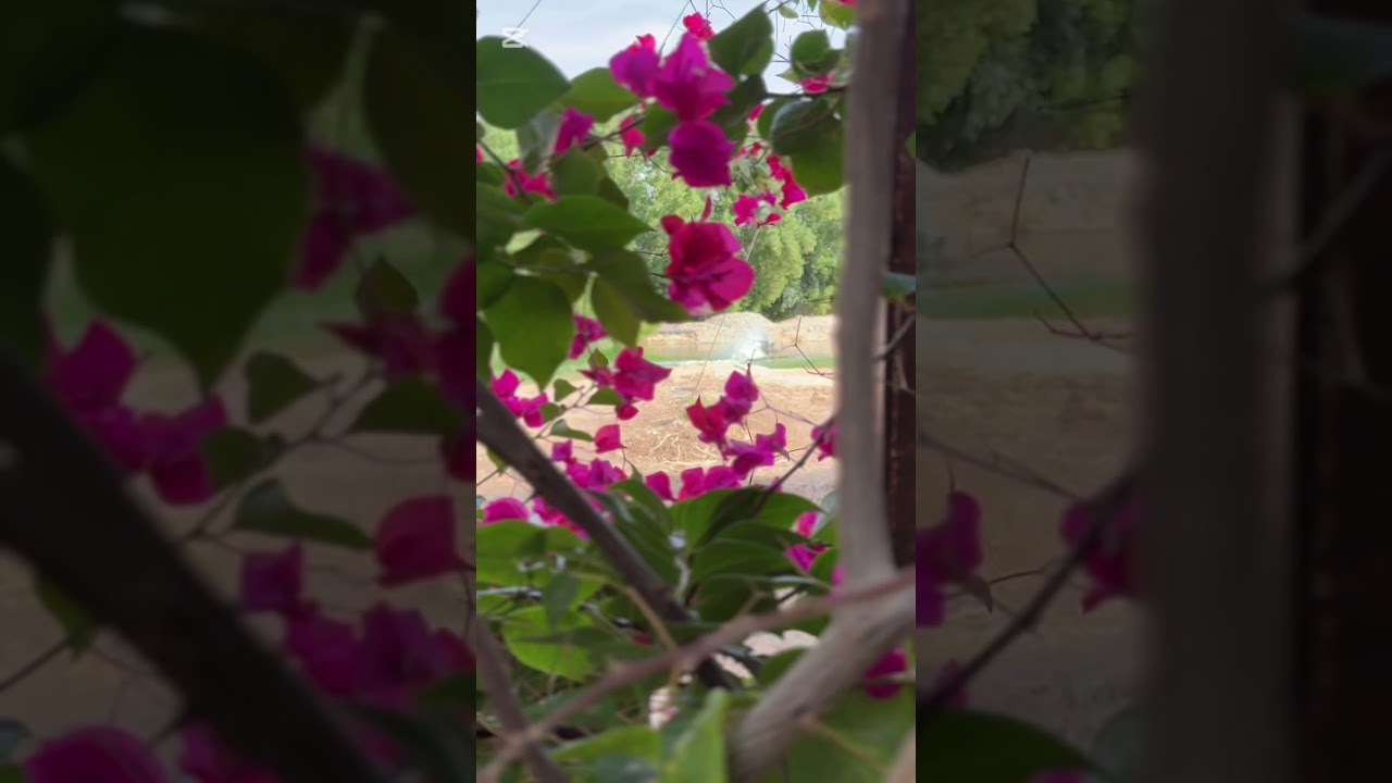 يوم جميل من احباب قلبى  لمزرعة السمك