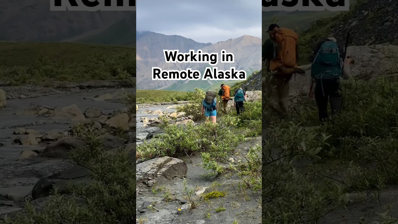 Working in Remote Alaska - What I Do For Work Living in an Alaskan Dry Cabin