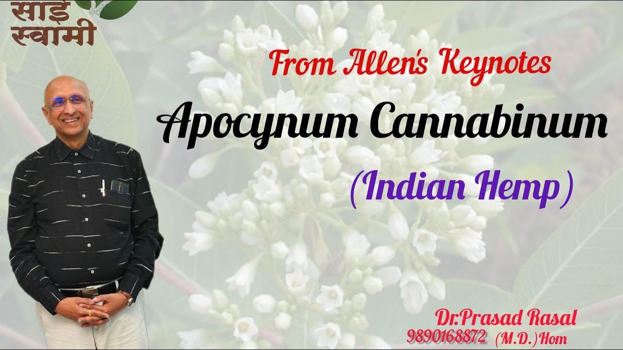 My Experiences with Apocynum Cannabinum...