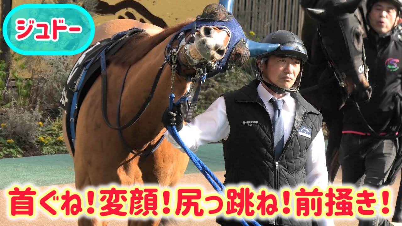 首ぐね、変顔、尻っ跳ね、前掻き、とにかく騒々しいジュドー