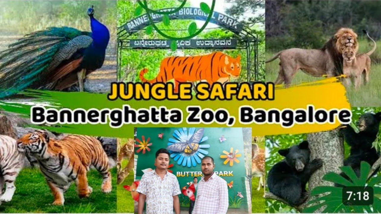 Bannerghatta Safari Bangalore  ZooWildlife Adventure with Tigers, Lions & Leopards #vgvlogs #youtube