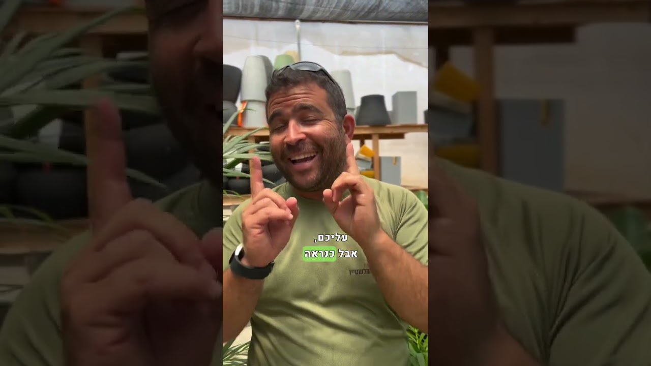 קבלו 5 סוגי דקלים שמתאימים לבית ויכניסו לכם מראה טרופי