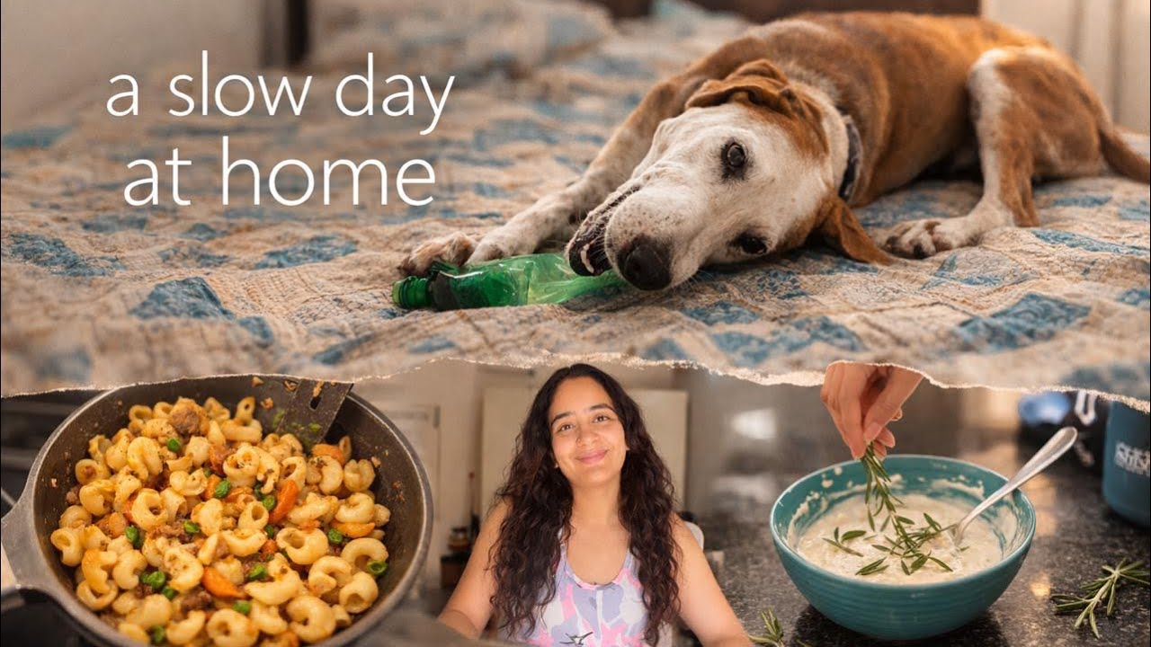 Vlog 3: a day in bangalore with my two indie dogs 🐶
