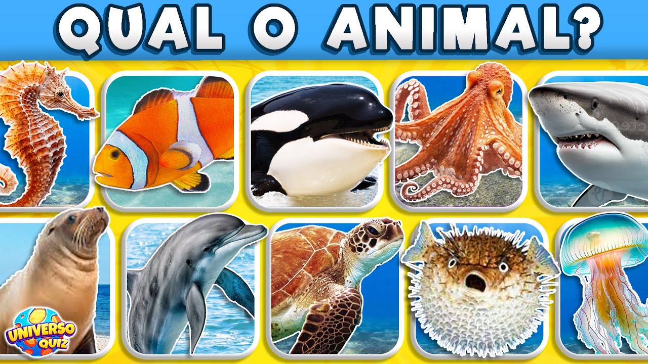 Adivinhe os ANIMAIS MARINHOS 🐬 35 Espécies de Animais 🐠 Desafio dos Bichos