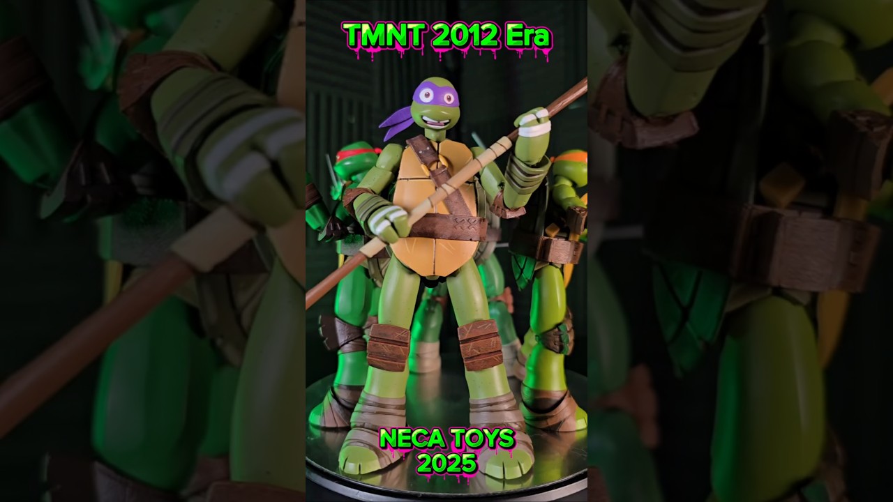 🐢 