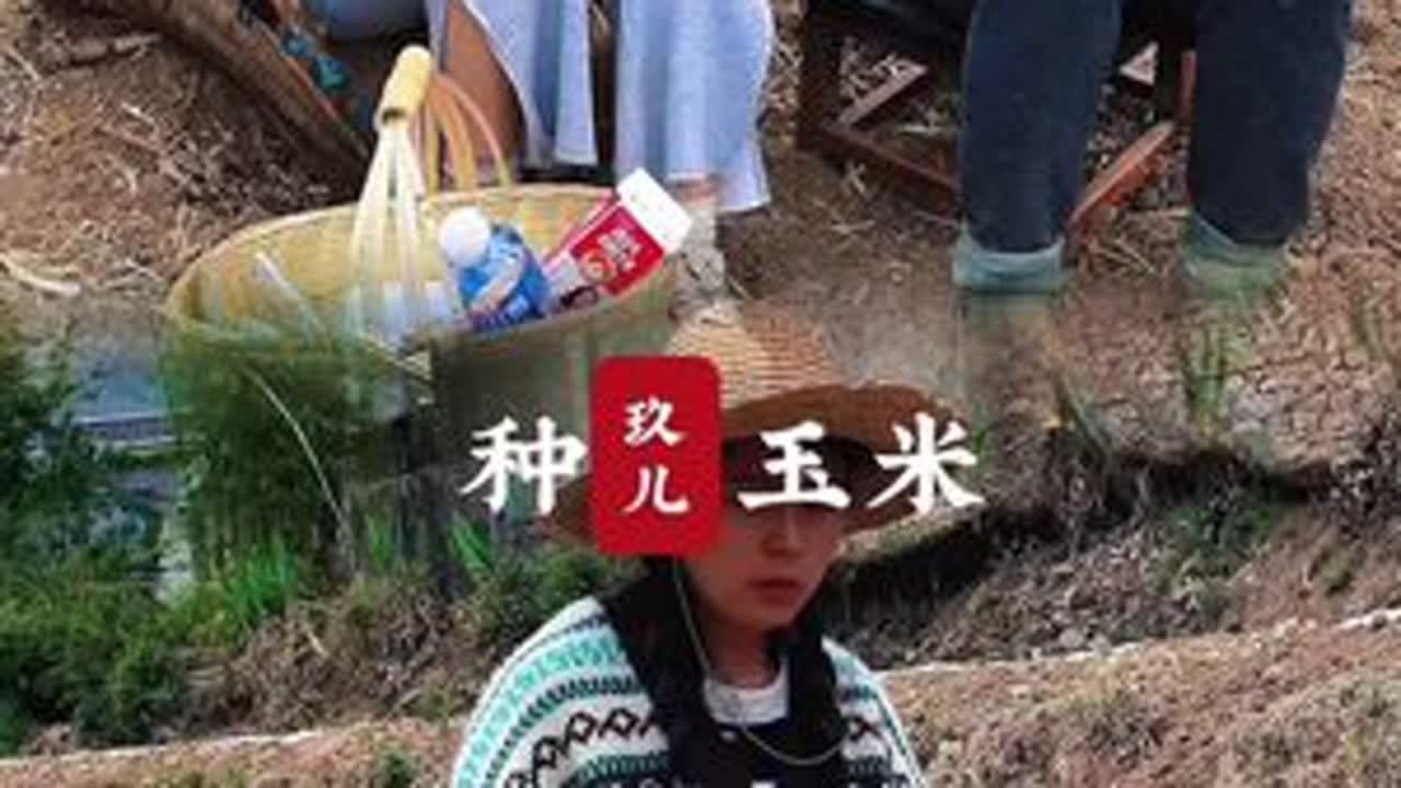 日出而作，日落而息，春种秋收，这就是生活，这就是我的生活。#我的乡村生活 #记录农村